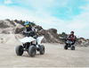 ATV electric HYPER GOGO  QUAD, Cu o viteza maxima de 16 km/h, motor puternic de 350 W, culoare Alb